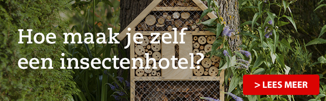 Hoe maak je zelf een insectenhotel?
