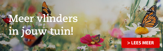 Meer vlinders in jouw tuin!