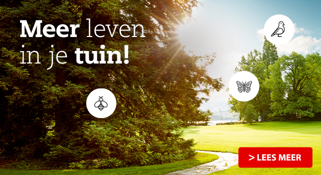 Meer leven in jouw tuin!