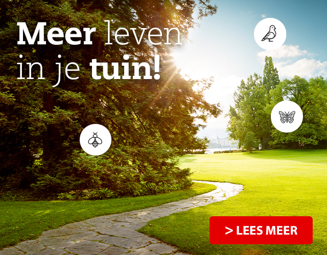 Meer leven in jouw tuin!