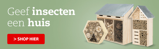 Insectenhuizen bij Pets Place