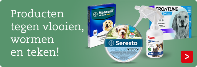 Vlooien bij honden en katten