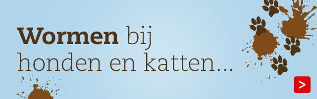 Hoe vaak moet ik mijn hond of kat ontwormen?