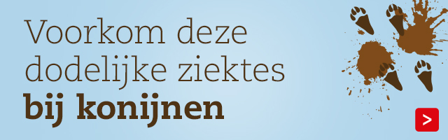 Konijnenziekten VHD en Myxomatose