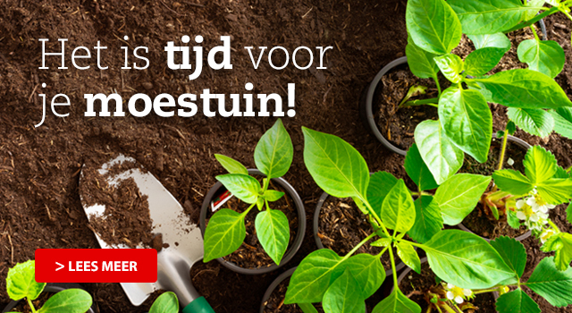 Moestuin Blog "Zaaien"