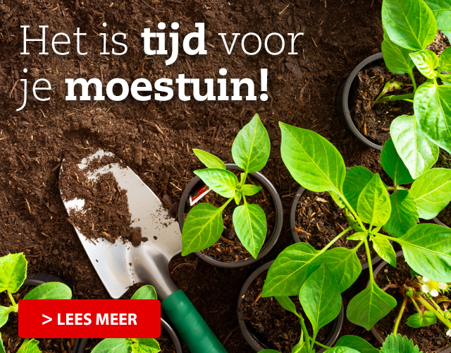 Moestuin Blog "Zaaien"