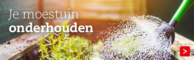 Moestuin Blog "Onderhoud"