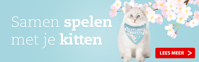 Spelen met je kat