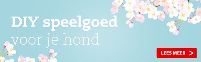 Hondenspeelgoed maken; Do It Yourself!