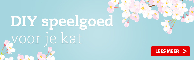 Kattenspeeltjes maken; Do It Yourself!